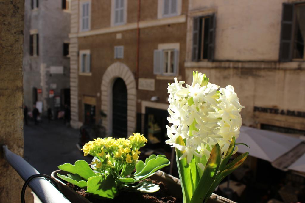 Hub Navona 3* Roma